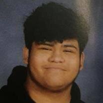 Luis Puga-Parra Obituary