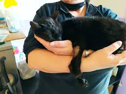 Keress a világ legátfogóbb teljes szöveges könyvindexében. Allat Es Termeszetvedelmi Jarorszolgalat Ujpest Publicaciones Facebook