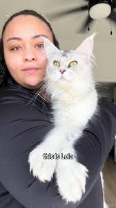 Exciting Times Ahead for Growing Kittens