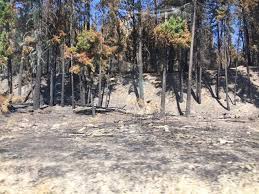 Jun 08, 2021 · the extension of the provincial state of emergency is based on recommendations from b.c.'s health and emergency management officials. Bc State Of Emergency To Be Lifted Tonight