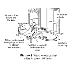 Boric acid is a natural repellant to bed bugs as well as a natural fire retardant. Allergy To Dust Mites Tips On Cleaning And Dustproofing