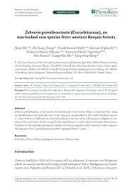 Image result for Zehneria gilletii