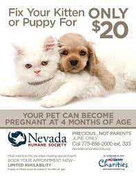 20 Spay Neuter Surgeries For Puppies And Kittens Under 6 Months Of Age Thanks To Petsmart Charities Puppies Pets Puppy Photos