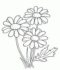 Blumen 35 Ausmalbilder Blumenzeichnungen Blumenzeichnung Blumen Ausmalbilder