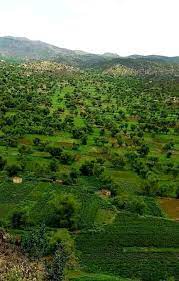 Appsgeyser is a free app maker. Ù…Ø³Ø¬Ø¯ Ø§Ù„Ø³Ù†Ø© ÙˆÙ…Ø¯Ø±Ø³Ø© Ø§Ù„Ø³Ù†Ø© Ø§Ù„Ø¶Ø§Ù„Ø¹ Ø§ï»»Ø²Ø§Ø±Ù‚ Ø­Ù…Ø§Ø¯Ù‡ Ø§ÙƒÙ…Ù‡ Home Facebook