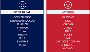No, peas are classed as a vetetable and can be eaten cooked or raw. Can Cats Eat That Petlifesa