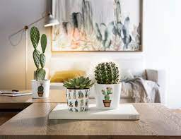 Golden barrel cactus on wn network delivers the latest videos and editable pages for news & events, including entertainment, music, sports golden cactus brewing, the newest addition to the roanoke craft beer scene, is set to open this week. Cactus Garden Scheurich