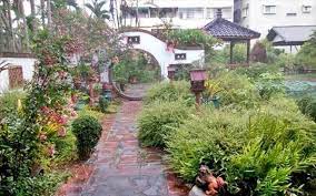 屏東依水園民宿 瘋台灣屏東民宿網 clifton nurseries chinese decor plants
