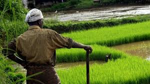 In 2007, a portion of sunny side farm in northern jessamine county was. India S Icici Bank Uses Satellite Data For Farmers Credit Assessments Fintech Futures
