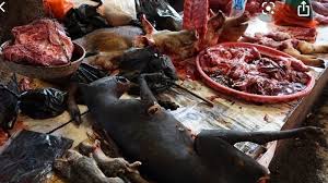 Petition · Close China's wet market permanently · Change.org