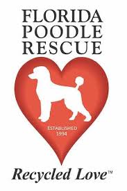 For everyone's comfort, we have a few temporary rules as we adjust and staff members complete vaccinations. Nom Nom Adoption Program Shelters And Rescues