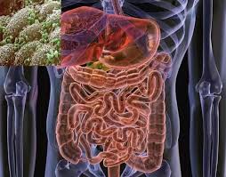 Under left side under lower ribs is your cololon. What Causes A Pulsating Feeling Under The Left Rib Cage Quora
