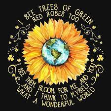 Maybe you would like to learn more about one of these? Mirada De Mujer Sunflower Quotes Sunflower Art Sunflower Pictures