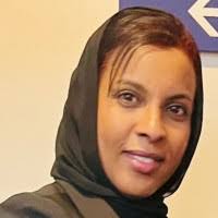 100+ "Hibo" profiles