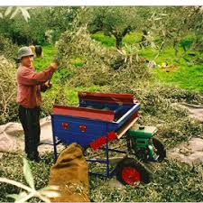 Producteur D Huile D Olive Bio En Grece Le Comptoir D Ulysse Vente Directe De Produits Grecs En France