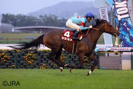 ダイロクセンス 第01巻 ダイロクセンス zip ダイロクセンス rar ダイロクセンス raw ダイロクセンス dl ダイロクセンス torrent. Jra æ—¥æœ¬ä¸­å¤®ç«¶é¦¬ä¼š æ±äº¬ç«¶é¦¬å ´ã§è¡Œã‚ã‚ŒãŸã‚¢ã‚¤ãƒ«ãƒ©ãƒ³ãƒ‰ãƒˆãƒ­ãƒ•ã‚£ãƒ¼åºœä¸­ç‰é¦¬s Gii ã¯ 7ç•ªäººæ°—ã®ã‚µãƒ©ã‚­ã‚¢ãŒé‡è³ž FeÑ˜sbuk