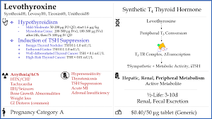 Levothyroxine Synthetic Thyroid Hormone Approved For