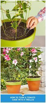 Build An Easy Garden Trellis Tomato Cages Easy Garden Garden Trellis