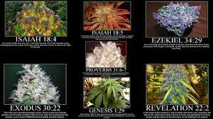 Weed Jokes Quotes Quotesgram