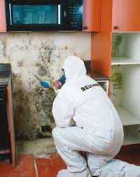 Maybe you would like to learn more about one of these? Belfor Property Restoration 3512 27 Brockville On K0e 1m0 Canada