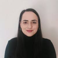 David Baus Email & Phone Number