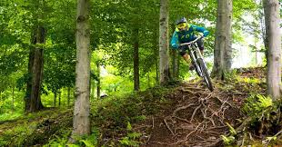 Built out of what use to be highland ski area, the team there has built a worldrenowned downhill mountain biking destination right here in new england. Bromont Bike Park Get Up There Mountain Bike Vermont