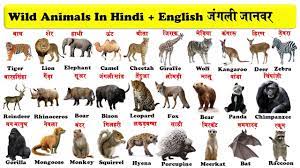 Wild Animals In English And Hindi With Pdf À¤ À¤à¤² À¤ À¤¨à¤µà¤° Wild Animals Names Download Pdf Youtube