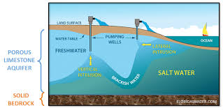 11 Alarming Facts About Sea Level Rise Water Table Sea Level Rise Sea Level