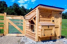 Can you have a chicken coop in your backyard? The Farm S New Chicken Coop Building A Secure Easy Care Coop