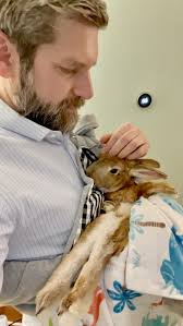 No turning back now for Captain Carrots #specialneedsbunny  #specialneedsrabbits #specialneedspets #splayedlegs #dumpedbunny  #adoptdontshop #bunniesofinstagram #bunny #bunnies #bunnyrabbit #bunbun ...