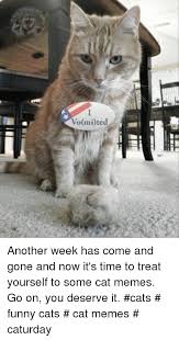 We did not find results for: 25 Best Memes About Funny Cats Funny Cats Memes