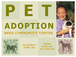 Pet Adoption Template Pet Adoption Flyer Template Pet Adoption Adoption Dog Adoption