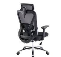 Ergonomic Mesh Office Chair With 3D Headrest For Grown-ups ...