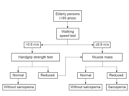 Diagnosis and management of seminal vesicle cysts associated with ipsilateral renal agenesis: Diagram Of The Algorithm Of Diagnosis For Sarcopenia Suggested By The Download Scientific Diagram