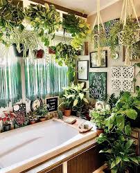 Check spelling or type a new query. I Posted My Jungle Spa Not Too Long Ago But Since Then It Has Really Grown Literally Houseplants