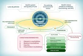 A New Conceptual Framework For Maternal Morbidity Filippi 2018 International Journal Of Gynecology Obstetri Health System Medical Conditions Obstetrics