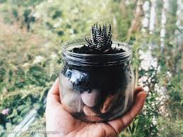 Florence Beasley Photography