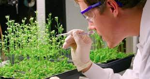 Grants and Awards for Scandinavians