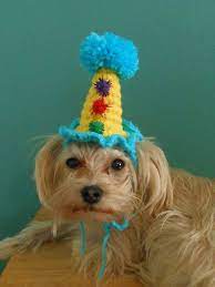 Crocheted Clown Hat For Dogs Or Cats Cat Yellow Clown Etsy Dog Hat Yellow Cat Clown Hat