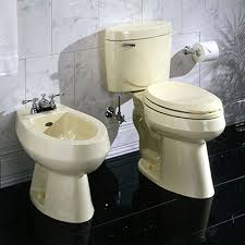 Save the day with your bidet! Bidet Toilet Seats Bidets The Home Depot