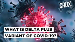 The alpha uk variant is 60 percent more transmissible but the delta variant is another 60 percent more transmissible. Delta Plus What Happens When The Delta Variant Of Covid 19 Mutates Into A More Lethal Strain Youtube