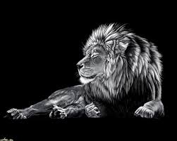 44 Black Lion Hd Wallpaper On Wallpapersafari Wallpapers for free download for nokia samsung motorola mobiles. black lion hd wallpaper on wallpapersafari
