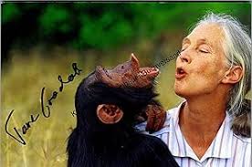 jane: Sammlerstücke