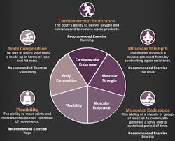These 5 components make up your overall physical fitness. 5 Components Of Physical Fitness Crossfit Predators