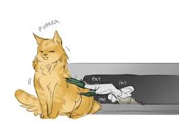 Prrrrrr Yay Pennywise Didn T Kill A Kitty Cat Funny Horror Horror Movie Art Horror Movie Characters