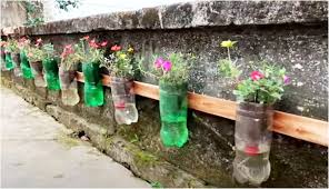 Cara daur ulang sampah botol plastik tidak hanya memanfaatkan bagian bodinya kok, seluruh bagian botol plastik bekas juga bisa bermanfaat. 3 Teknik Cocok Tanam Pakai Sisa Kemasan Makanan Dan Minuman Murah Hasil Melimpah Boombastis