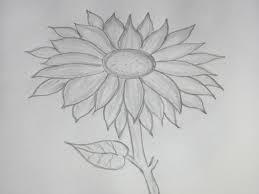 In questo tutorial ti mostro come disegnare un fiore di calla a matita ti mostro il chiaroscuro da realizzare qui trovi il nostro corso di. 90 Disegni A Matita Fra I Piu Belli E Sorprendenti Con Svariati Soggetti