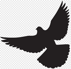 Columbidae Silhouette Dove Animals Doves As Symbols Bird Png Pngwing Flying birds silhouette on white background, vector illustration. columbidae silhouette dove animals