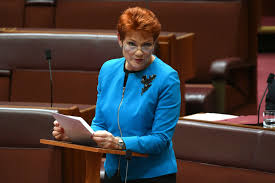 Pauline Hanson 20 years on: same refrain, new target