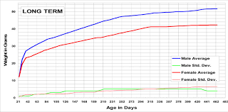 Hilltop Lab Animals Inc Hla Icr Growth Chart